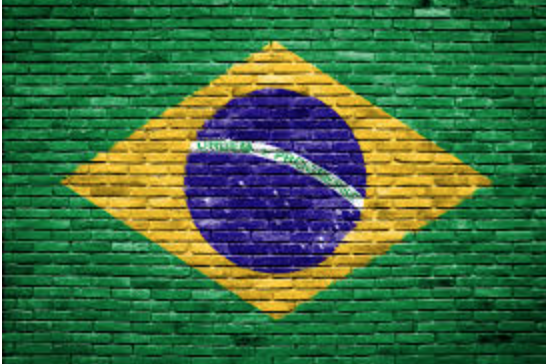 Sócios da Ativa Esporte participam de projeto sobre a marca Brasil